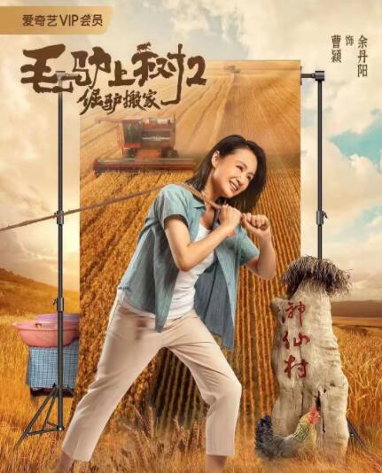 亚洲毛片在线观看