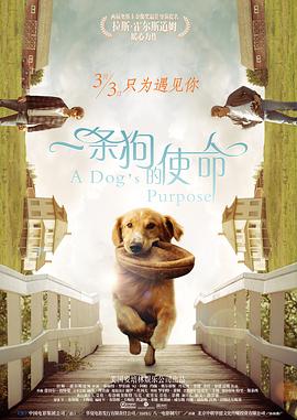 天天操操操操操