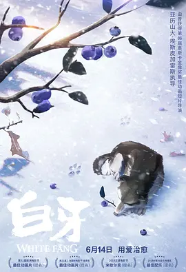 久久视屏这里只有精品6国产