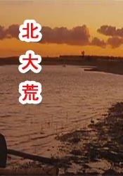 久草中文在线视频