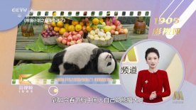 亚洲午夜久久久久久噜噜噜